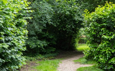 img-30