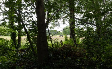 img-6