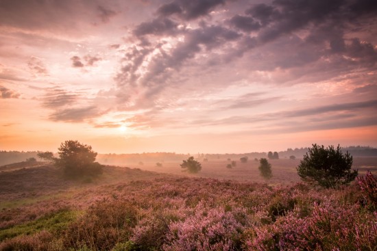 impression-mobile-img-1