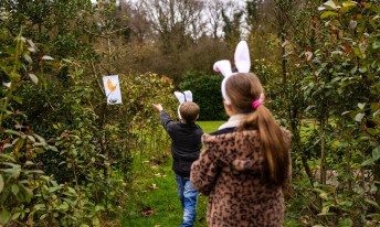 Gallery image mobile 3