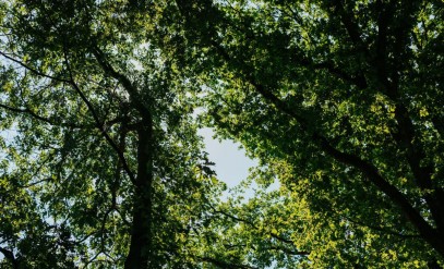 usp-item-Gelegen midden op de Veluwe