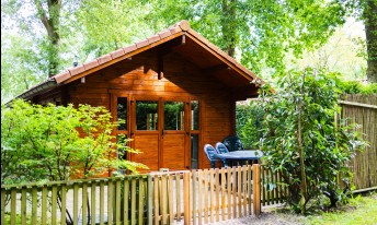 Gallery image mobile 3